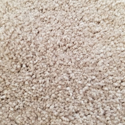 Kitty Kabinet – Beige Carpet